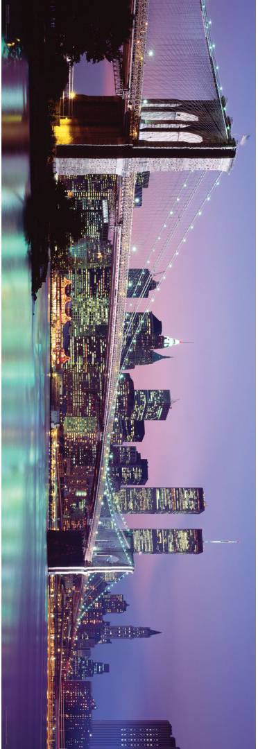 CPP20153	NEW YORK