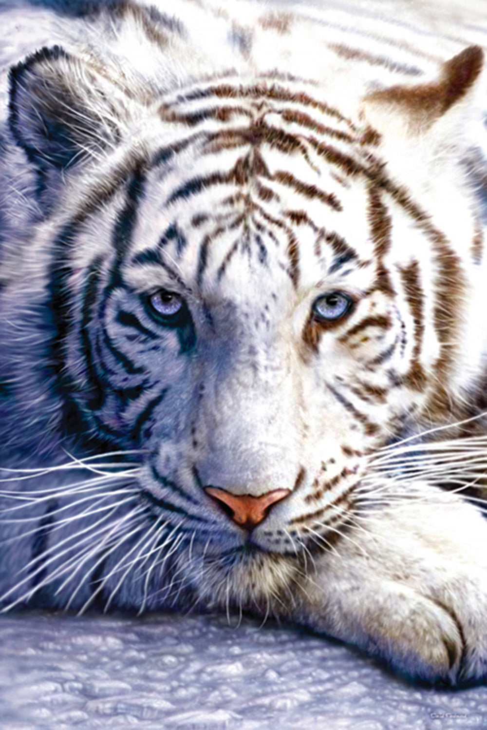 PP30282P	WHITE TIGER