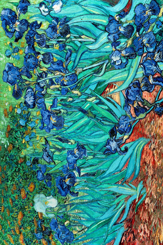 PP34840	VAN GOGH (LES IRISES)