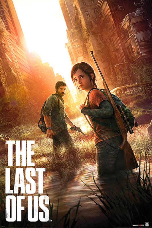 PP34971 	PlayStation (The Last of Us)