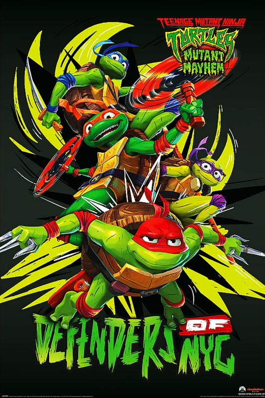 PP35245	TEENAGE MUTANT NINJA TURTLES