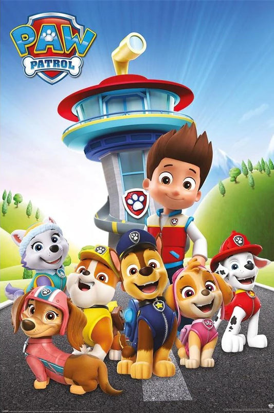 PP35265P	PAW PATROL (READY FOR ACTION)