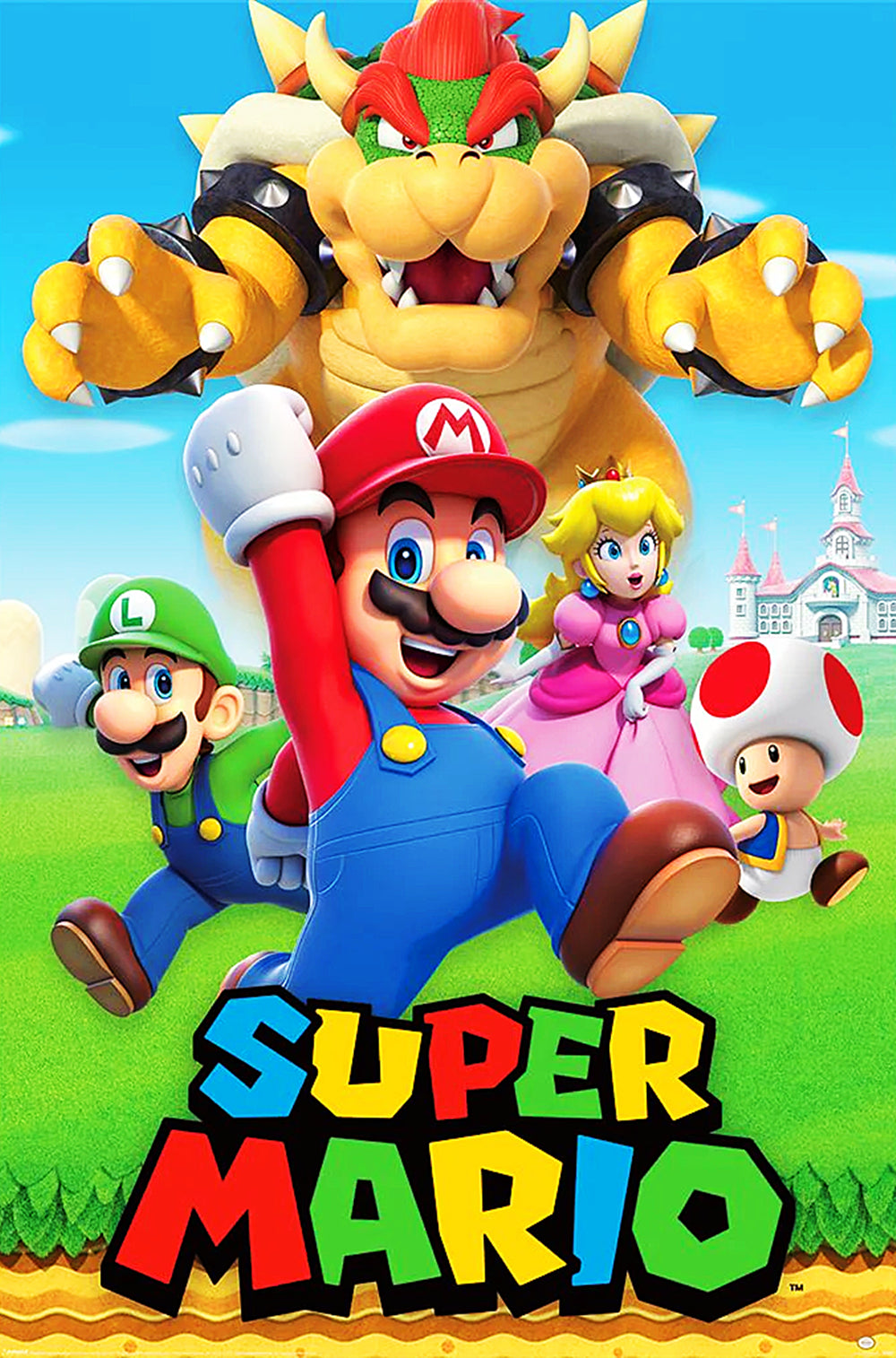 PP35311 Super Mario (Character Montage)