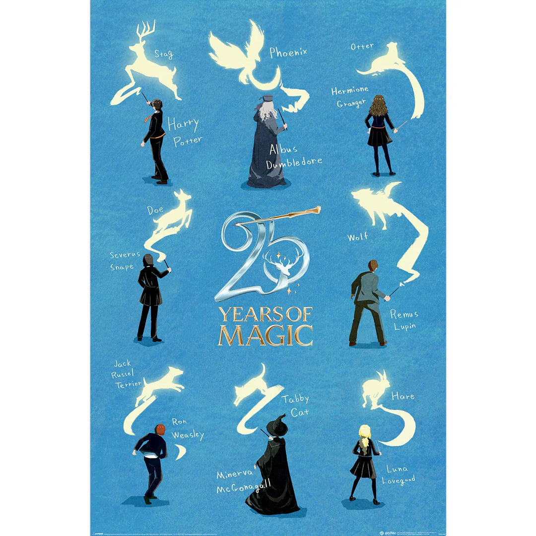 PP2512490	HARRY POTTER (25 YEARS)